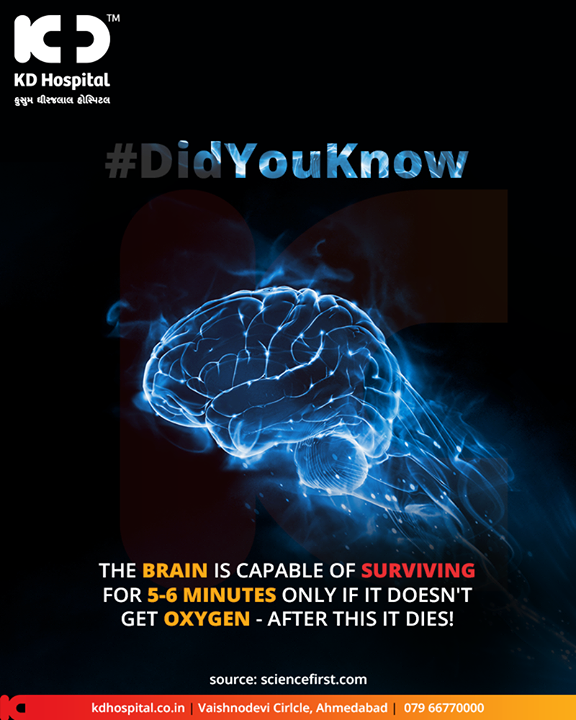 The brain is capable of surviving for 5-6 minutes only if it doesn't get oxygen - After this, it dies!

#DidYouKnow #KDHospital #GoodHealth #Ahmedabad #Gujarat #India