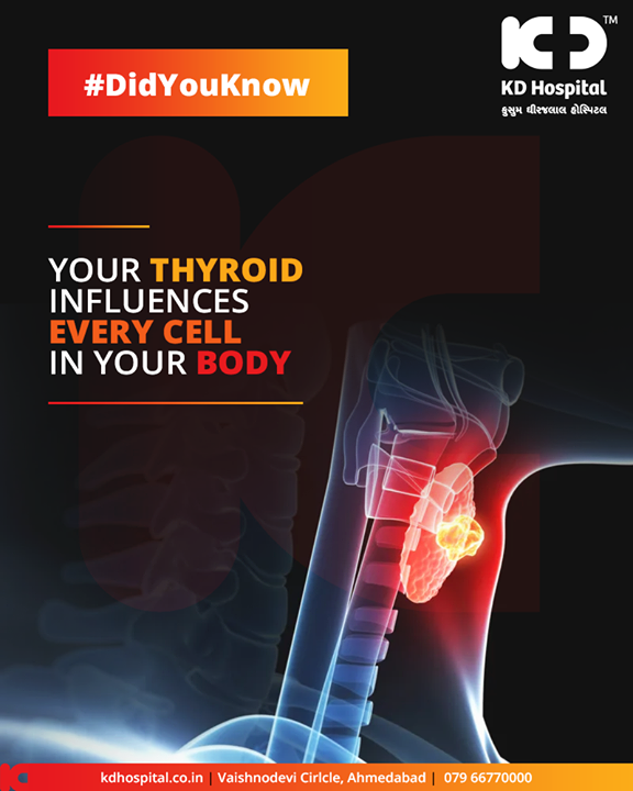 Thyroid hormones regulate the metabolic functions of literally every cell in the body by stimulating nearly all tissues in the body to produce proteins and by increasing oxygen available to cells.  

#KDHospital #GoodHealth #Ahmedabad #Gujarat #India