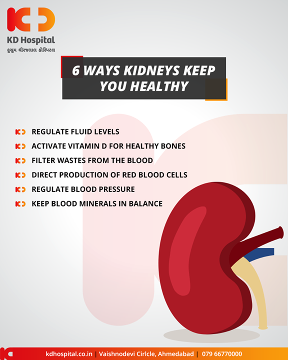 6 ways kidneys keep you healthy, take care of your kidneys!

#KDHospital #GoodHealth #Ahmedabad #Gujarat #India