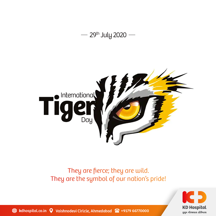 They are fierce; they are wild. They are the symbol of our nation's pride!

#InternationalTigerDay #InternationalTigerDay2020 #TigerDay #SaveTheTiger #Tigers #KDHospital #goodhealth #health #wellness #fitness #healthiswealth #healthyliving #patientscare #Ahmedabad #Gujarat #india