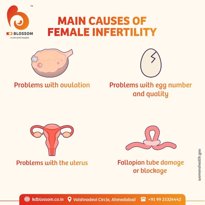 Female Infertility can be diagnosed and be treated according to the causes, hence, don't stay in the misconception of unexplained infertility and consult our Fertility Expert today only. 
To book an appointment, give us a call now: +91 9925324442. Our Special Offer is valid till 31st August'21 only.

#KDHospital #KDBlossom #ivf #fertility #infertility #fertilitydiet #miscarriage #hormones #wellness #infertilitysupport #nutrition #endometriosis #infertilityjourney #family #iui #infertilityawareness #infertilitysucks #fertilityawareness #love #pregnant #health #ivfjourney #baby #womenshealth #pcos #fertilityjourney #pregnancy #Ahmedabad #Gujarat #India