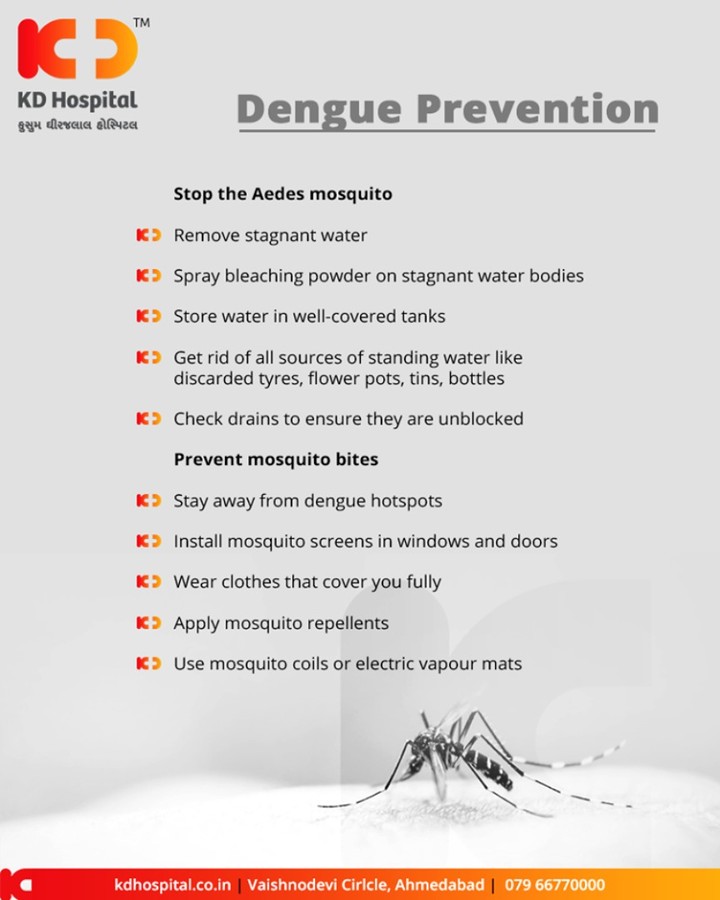 #Dengue prevention tips to keep your family safe from Dengue.

#DenguePreventionTips #DengueFever #KDHospital #GoodHealth #Ahmedabad #Gujarat #India