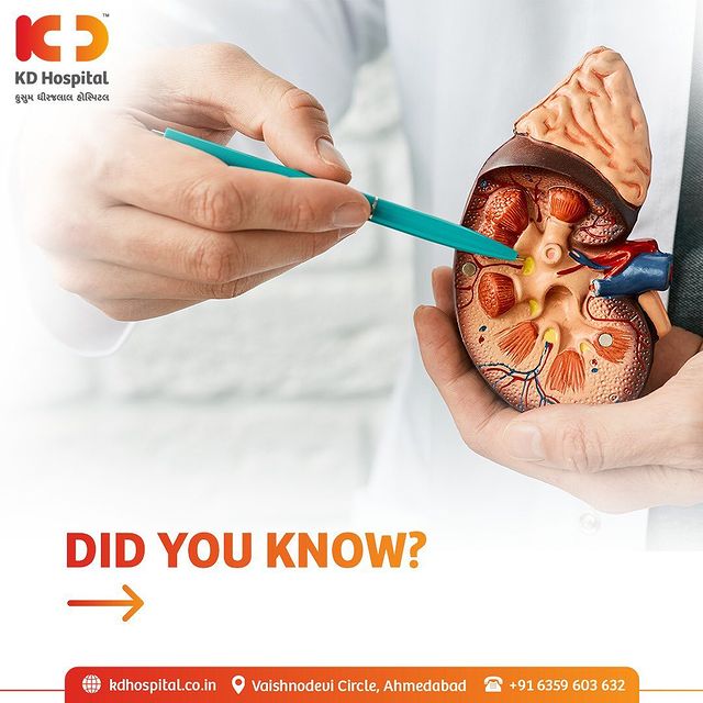Visit our Kidney Disease Screening Camp & get a 50% discount on  Consultation by KD Hospital's expert Nephrologist.
Offer valid till 30th November 2022 only. For appointments call Now on: +91 63596 03632.
Your kidneys are too precious to be neglected. Get checked & keep a track of your kidney health.

#KDHospital #doyouknow #KidneyDisease #Nephrology #Kidney #Dialysis #AccuteKidneyDisease #ChronicKidneyDisease #Nephritis #UTI #Createnine #KidneyCyst #PolycysticKidney #DiabeticNephropathy #Nephrology #KidneyTransplant #kidneyhealth #kidneyfailure #interactivegrams #instagrameverywhere #diabetickidneydisease #YoursToMake #Ahmedabad #Gujarat #india