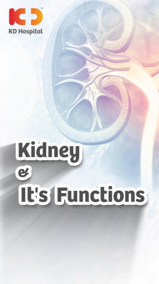 What are the functions of our kidneys? 
Let's hear KD Hospital's expert Dr Kamal Goplani, Consultant Nephrologist explain the important functions of kidneys.

Visit our Kidney Disease Screening Camp & get a 50% discount on a Consultation by KD Hospital's expert Nephrologist.
Offer valid till 30th November 2022 only.
For appointments call Now on: +91 63596 03632.

#KDHospital #KidneyDisease #Nephrology #Kidney #Dialysis #AccuteKidneyDisease #ChronicKidneyDisease #Nephritis #UTI #Createnine #KidneyCyst #PolycysticKidney #DiabeticNephropathy #Nephrology #KidneyTransplant #kidneyhealth #kidneyfailure #interactivegrams #instagrameverywhere #diabetickidneydisease #YoursToMake #Ahmedabad #Gujarat #india