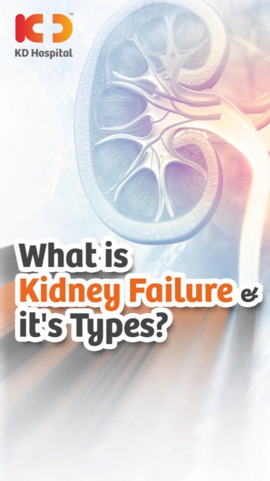 Kidney Failure & its types: What is the difference between Acute Kidney Injury & Chronic Kidney Disease? Dr Kamal Goplani, Consultant Nephrologist is here to explain Kidney Failure & its various types.

#KDHospital #KidneyDisease #Nephrology #Kidney #Dialysis #AccuteKidneyDisease #ChronicKidneyDisease #Nephritis #Createnine #KidneyCyst #PolycysticKidney #DiabeticNephropathy #Nephrology #KidneyTransplant #kidneyhealth #kidneyfailure #interactivegrams #instagrameverywhere #diabetickidneydisease #YoursToMake #Ahmedabad #Gujarat #india