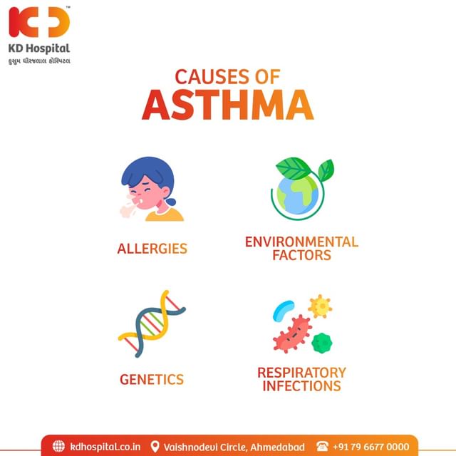 Knowing the causes of asthama are important as they may vary from person to person.Understand what you are allergic to so that you can take measures accordingly.

#kdhospital #learnasthamaawareness #chronicillness #asthma #allergy #lungs #asthmaproblems #asthmaawareness #breathe #chronicillness  #asthmaproblems #breathe #chronicillness #allergy #lungs #asthmaproblems #asthmaattack #asthmaawareness #asthmarelief #asthmatreatment #allergy #lungs #inflammation #cough #breathingdifficulty #congestion #wheezing #nebuliser #sinus #asthmainflammation