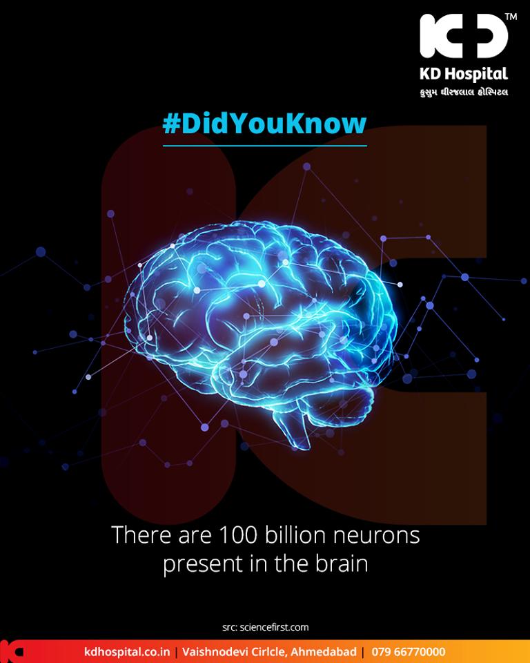There are 100 billion neurons present in the brain. 

#DidYouKnow #BrainFacts #KDHospital #GoodHealth #Ahmedabad #Gujarat #India https://t.co/lLxGmri7hz