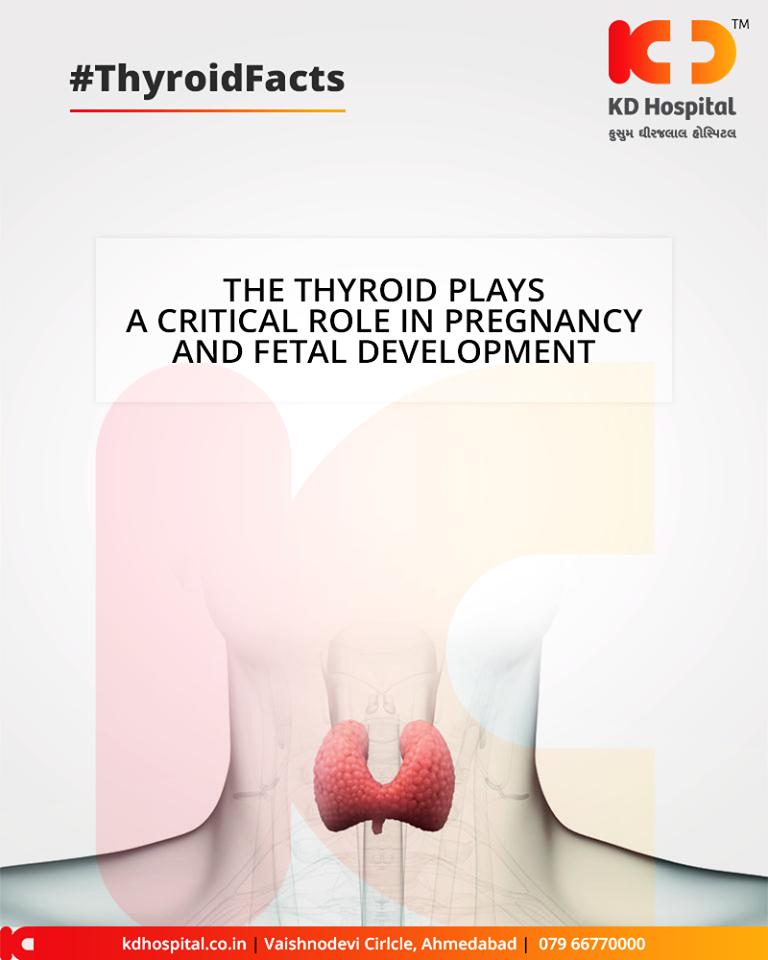 The thyroid plays a pivotal role in pregnancy! To meet the increased metabolic needs of a pregnancy, a mother’s brain fuels the thyroid gland to produce more hormone.

#KDHospital #GoodHealth #Ahmedabad #Gujarat #India https://t.co/I2yTOf69pZ